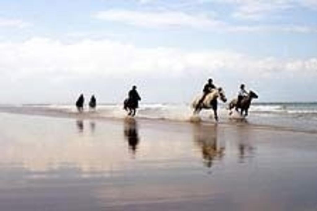 مبيت وإفطار Glin Knights Haven المظهر الخارجي الصورة